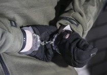 Сотрудники полиции задержали автовладельца, ударившего женщину в ходе дорожного конфликта в Зеленограде
