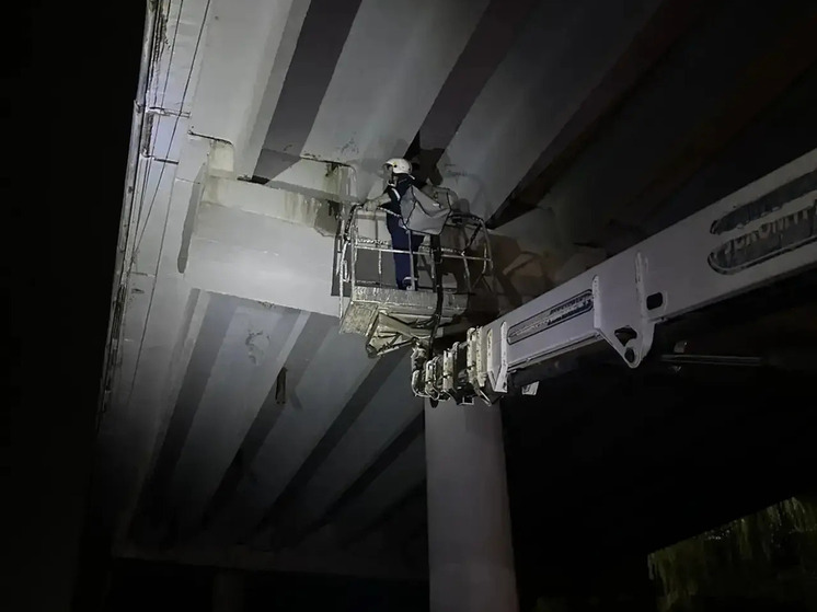 В Тамбове спасли котят, застрявших под мостом на Астраханской