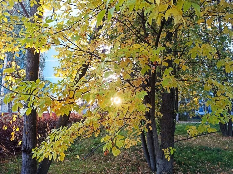 Рекордное для сентября тепло сохраняется в Костромской области
