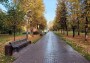 Тревожники бьют тревогу: который день они не могут найти лекарства от нервного расстройств и для восстановления эмоционального фона