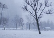 По народному календарю 10 октября отмечают Савватия Пчельника. С этим днём связывали завершение подготовки пчёл к зиме, наблюдали за погодой и пытались предсказать, какой будет предстоящая зима.