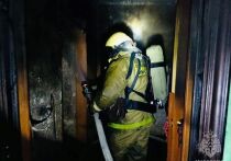 Девять человек, в том числе трое детей, спасены на пожаре в жилом доме на юго-западе Москвы во вторник утром