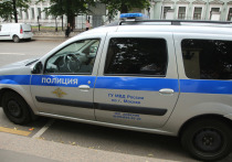 Мужчину, позволившему себе неприличный жест в отношении пассажирки в московском метро, арестовал Тушинский суд столицы