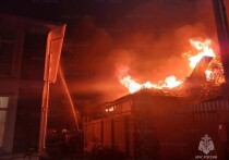 Пожар на лодочной станции произошел в ночь на пятницу в подмосковном Красногорске