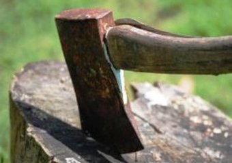 Средневековую казнь с отсечением головы для 19-летней девушки устроила в Павлово-Посадском районе Подмосковья банда насильников