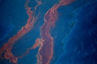 Авария на буровой установке в Мексиканском заливе обернулась экологической проблемой в Луизиане