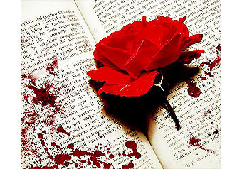 Прекрасный пол любит про убийства, а мужики — про войну и гангстеров