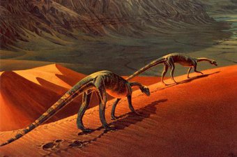 Останки неизвестного динозавра показывают животное в самые последние мгновения его жизни