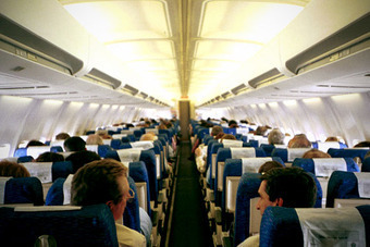 Авиакомпании  ищут защиту от дебоширов
