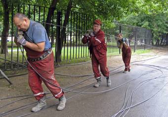 Массовой экзекуции подверглись в среду в центре столицы 15 гастарбайтеров из Киргизии