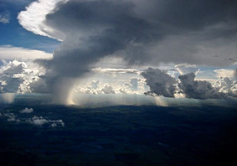 Леса Амазонки могут исчезнуть