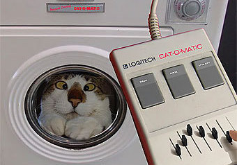 Японцы, которые, как известно, впереди планеты всей во всем, что касается комфорта и высоких технологий, изобрели “стиральные машинки” для домашних животных