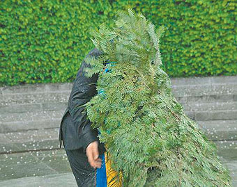 На Украине возбуждено курьезное уголовное дело