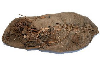 Археологи нашли самый древний и полностью сохранившийся образец кожаной обуви; он "удивительно похож на современную обувь"