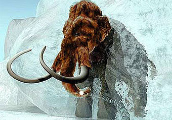 Насколько жарко было длинношерстным мамонтам и динозаврам?