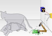 Физики создали гигантского "кота Шредингера"