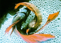 Исследователи проследили, как самцы некоторых видов рыб приманивают самок