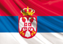 Сербия выбрала новый парламент