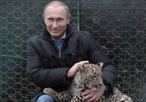 Путин, леопарды и олимпийский огонь: президент в Сочи стал «укротителем»