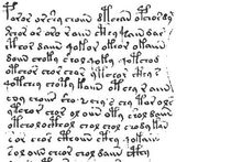 В таинственном «манускрипте Войнича» найдено скрытое послание