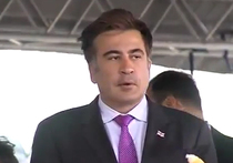 К Саакашвили едет ревизор