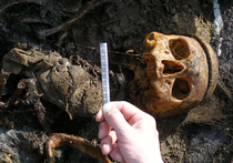 Обнаружен плосколицый предок человека