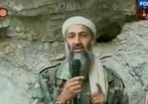 Убил бен Ладена — получил шиш