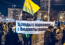 Митингующие в Москве просят ввести мораторий на расширение платной парковки