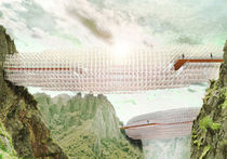 Изощренный мост-облако открывает новую эру в архитектуре