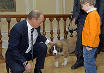 Дог-шоу с Владимиром Путиным