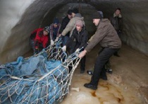 В Красноярском крае школьник нашел самого крупного мамонта за последние 100 лет