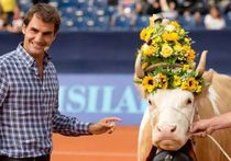 Роджеру Федереру опять подарили корову