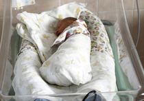 В 2013 году может родиться первый "гибридный" ребенок от трех родителей (М+М+П)