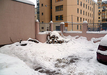 Москвичи надрывают животы от снега