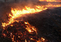 Пожар в новгородском интернате: могли сгореть 35 человек