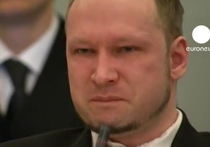 Тренажером Брейвика увлечены 12 млн человек