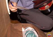 Штурмуйте, Шура, штурмуйте! 