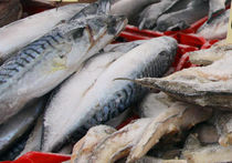 Каждая третья рыба в России может оказаться фальшивой