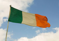 В Ирландии проходят обсуждения по поводу поправок в законопроекте об абортах
