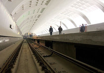 На новых станциях метро появятся защитные перегородки «от самоубийц»