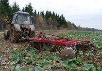 Россию сделали непригодной для сельского хозяйства