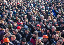 На Майдане в Киеве растят укроп и разводят свиней