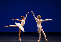 Выставка достижений балетного хозяйства