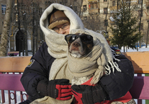 Как пережить собачий холод по-человечески