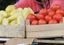Китайцы выращивали в России овощи, применяя химикаты, вызывающие мутацию и рак