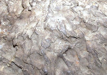 Метеорит, упавший на Челябинск, был рожден от астероида