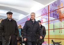 Участок метро "Битцевский парк" - "Улица Старокачаловская" откроется в течение месяца