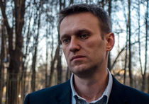 Не упоротый. Навальному присудили 300 000 штрафа за оскорбление Лисовенко