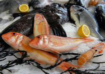 Эксперты: "Экологичные" морепродукты на наших столах могут вызывать онкологию