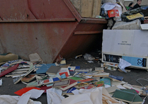 Власти просят москвичей жаловаться на проблемы с мусором
